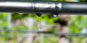 Hydro PCND web